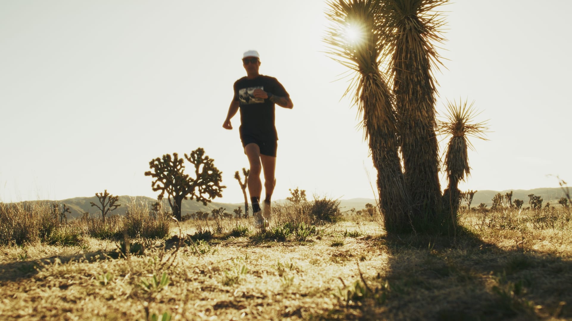 A Day in the Desert Building What Comes Next