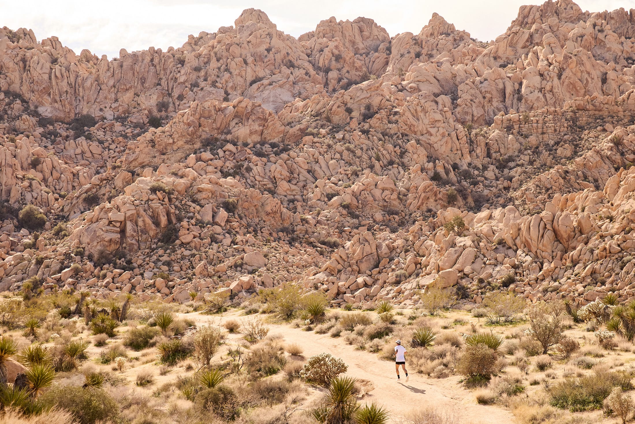 Joshua Tree running path with runner